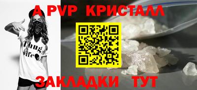 герыч Кингисепп