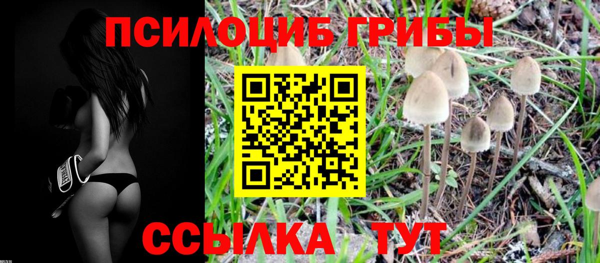 Галлюциногенные грибы прущие грибы Кострома