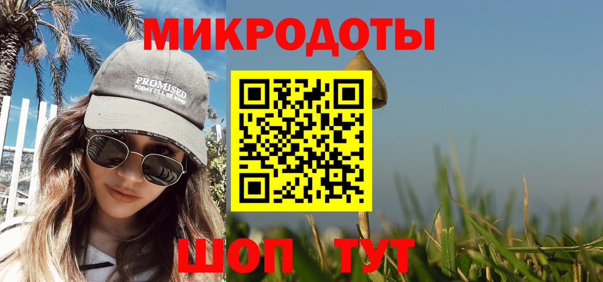 Галлюциногенные грибы Psilocybe  Вход с VPN  Псилоцибиновые грибы Psilocybe  Кострома 